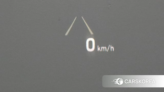 Genesis G80 id 5054471 из Кореи 24