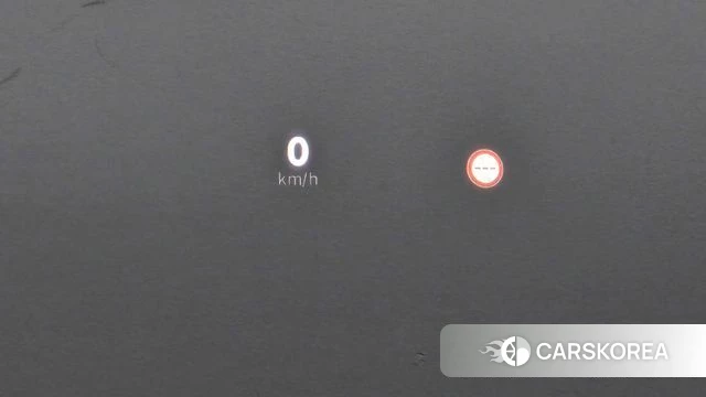 Renault Korea (Samsung) Grand Coleos id 4995431 из Кореи 24