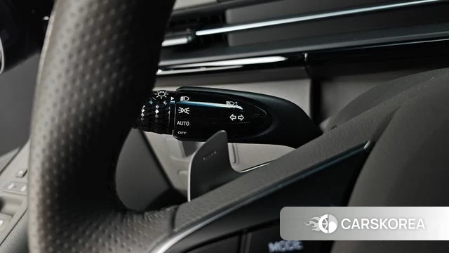 Hyundai Staria id 4995686 из Кореи 24