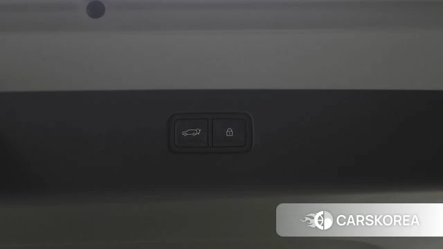 Hyundai Ionic 9 id 5026190 из Кореи 24