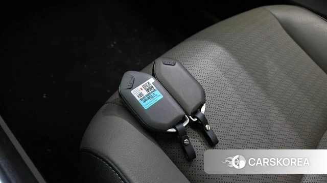 Kia The New Carnival 4th Generation id 4950256 из Кореи 24