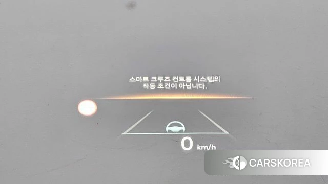 Kia The New Carnival 4th Generation id 4957323 из Кореи 24