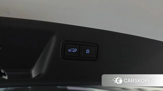 Hyundai Santa Fe (MX5) id 4975090 из Кореи 24