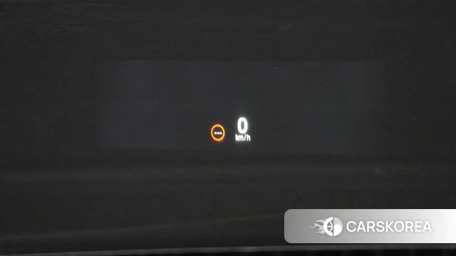 Renault Korea (Samsung) Filant id 4897581 из Кореи 24