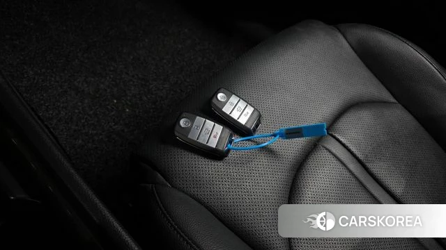 Kia The New K5 2nd generation id 5035973 из Кореи 24