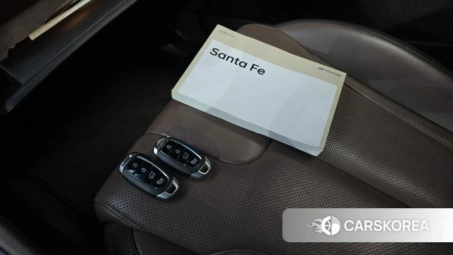 Hyundai Santa Fe TM id 4785876 из Кореи 24