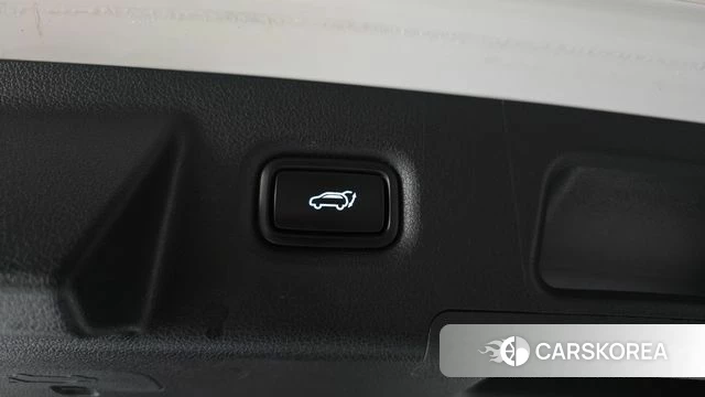Hyundai Santa Fe TM id 5042178 из Кореи 24