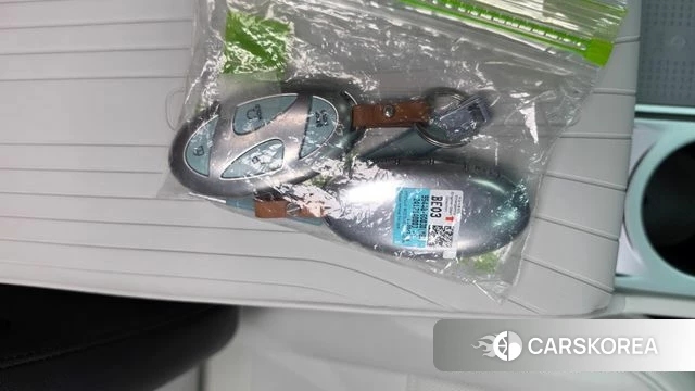 Hyundai Ionic 9 id 5011129 из Кореи 24