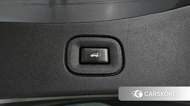 Renault Korea (Samsung) The New QM6 id 5022497 из Кореи 25