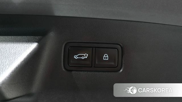 Hyundai Santa Fe (MX5) id 4957577 из Кореи 25