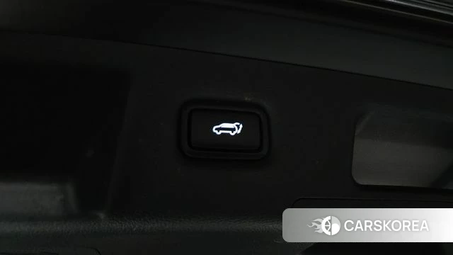 Hyundai Santa Fe TM id 4987870 из Кореи 25