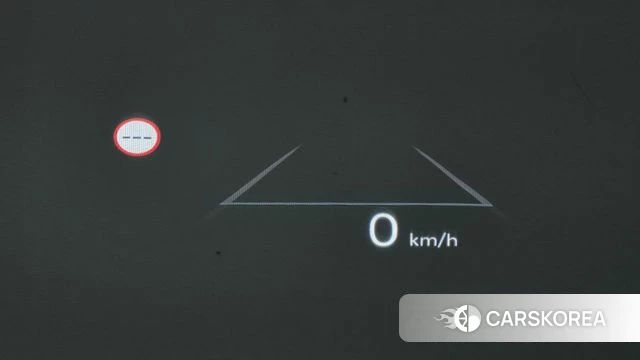 Hyundai Santa Fe (MX5) id 4710435 из Кореи 25