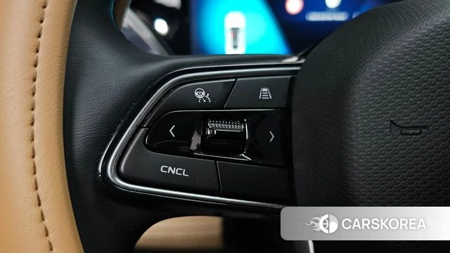 Renault Korea (Samsung) Grand Coleos id 4916480 из Кореи 25