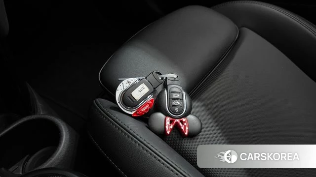 Mini Cooper S id 5027993 из Кореи 25