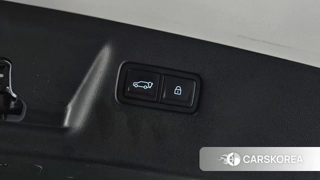Hyundai Santa Fe (MX5) id 5046150 из Кореи 25