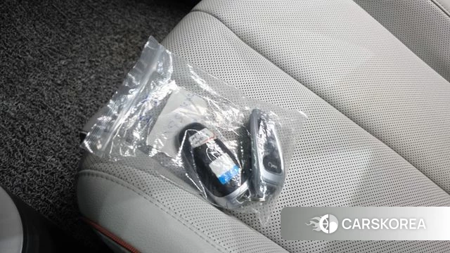 Hyundai Ionic 5 id 5026505 из Кореи 25