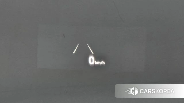 Genesis G90 id 4943933 из Кореи 25