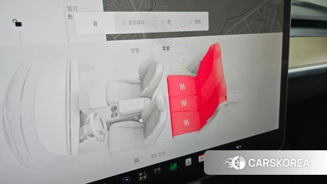 Tesla Model 3 id 4864472 из Кореи 25