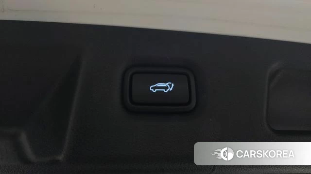 Hyundai Santa Fe TM id 5004129 из Кореи 25