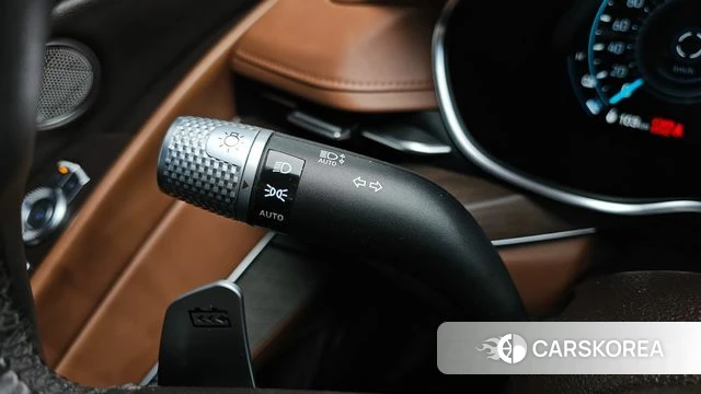 Genesis Electrified G80 (RG3) id 5003127 из Кореи 26