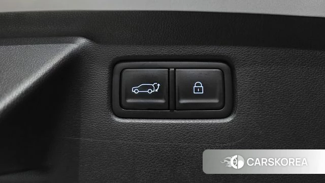 Hyundai Santa Fe (MX5) id 4995723 из Кореи 26