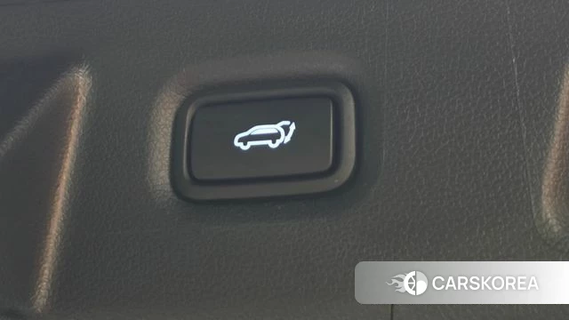Hyundai The New Santa Fe id 5017006 из Кореи 26