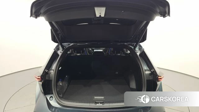 Renault Korea (Samsung) Filant id 4870471 из Кореи 26