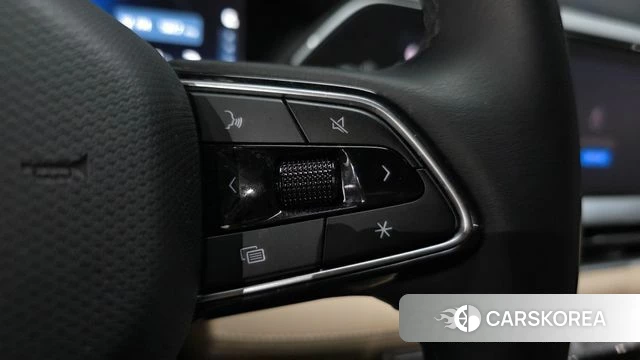 Renault Korea (Samsung) Grand Coleos id 4990462 из Кореи 26