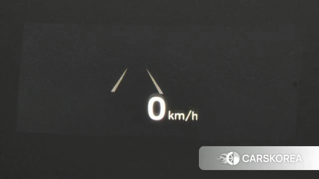 Genesis G90 id 5004364 из Кореи 26