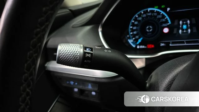 Genesis Electrified G80 (RG3) id 5017388 из Кореи 26