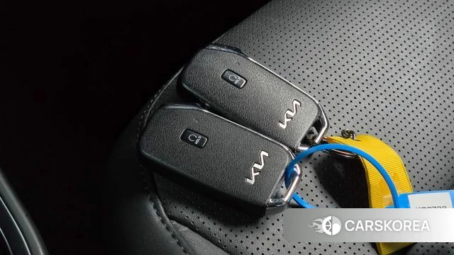 Kia Di All New Niro EV id 5017126 из Кореи 26