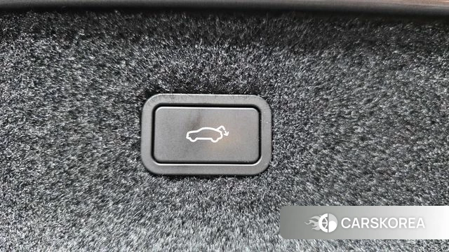 Polestar Polstar 4 id 5011115 из Кореи 26