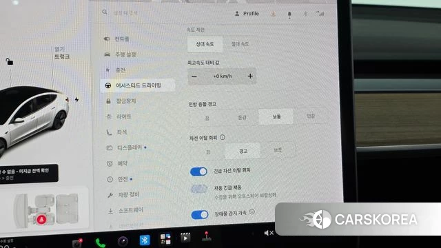 Tesla Model 3 id 5017805 из Кореи 26