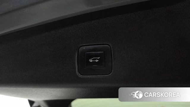 Chevrolet (GM Daewoo) Trailblazer id 5012604 из Кореи 27
