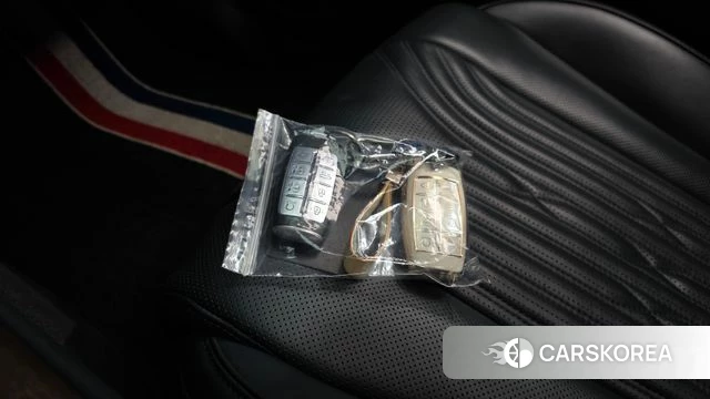 Genesis G80 (RG3) id 5002856 из Кореи 27