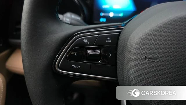 Renault Korea (Samsung) Grand Coleos id 4940814 из Кореи 27