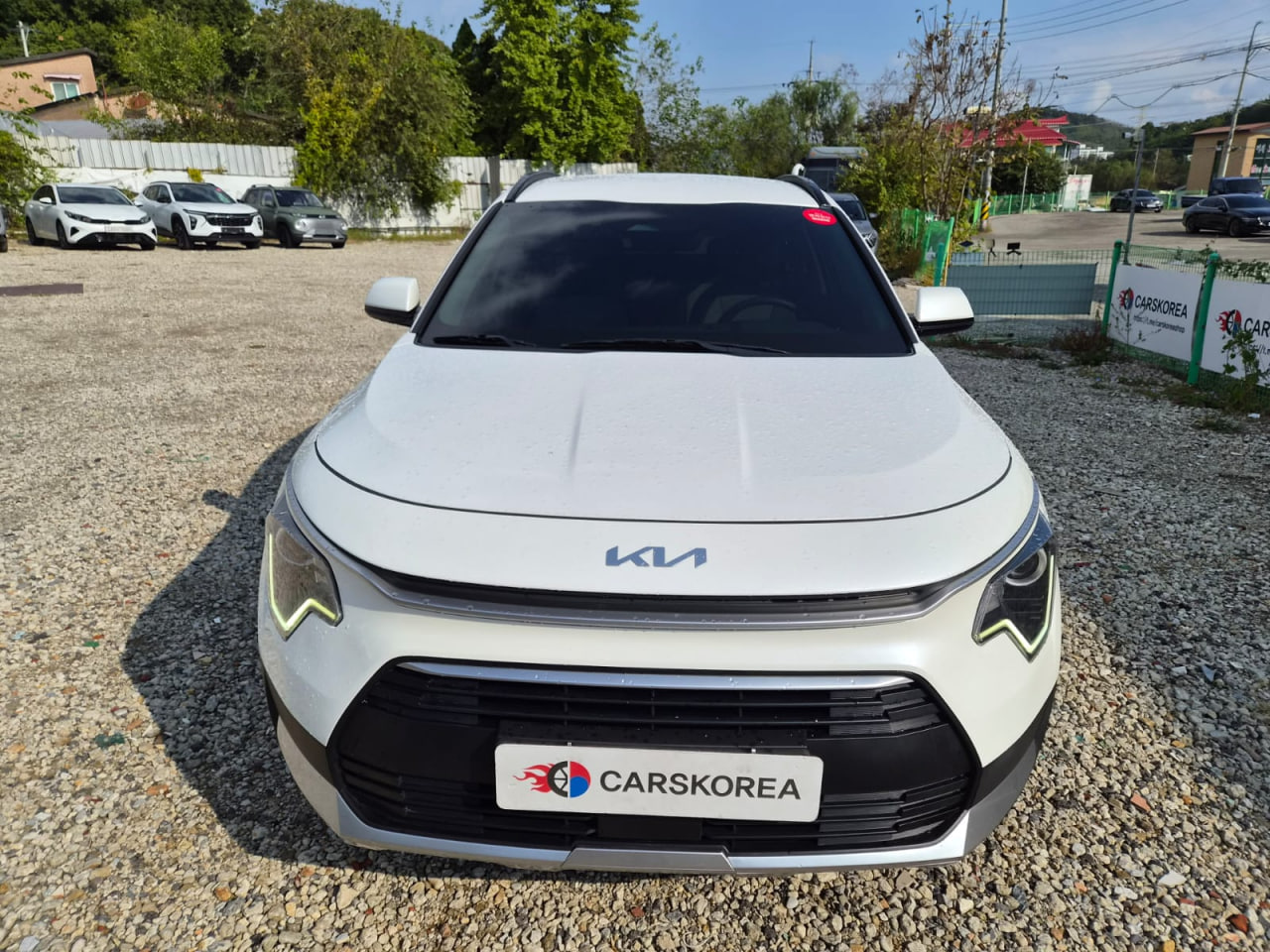Kia Di Ol Nu Niro 2022 из Кореи