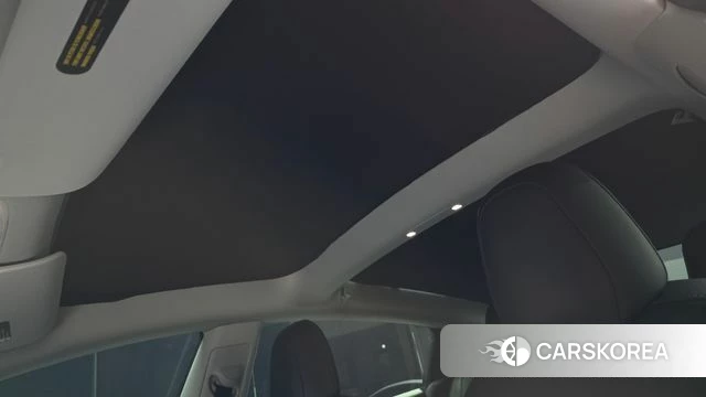 Tesla Model 3 id 5012874 из Кореи 28