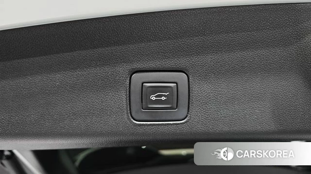 Chevrolet (GM Daewoo) Trailblazer id 5041078 из Кореи 29