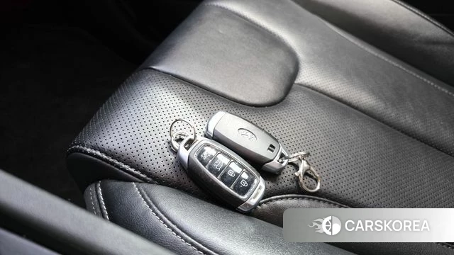 Hyundai Santa Fe TM id 5013759 из Кореи 29