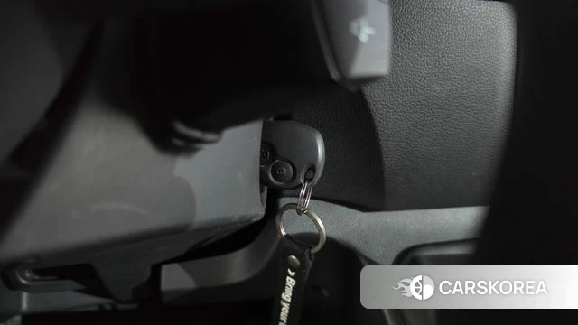 Renault Korea (Samsung) Master id 4982286 из Кореи 29