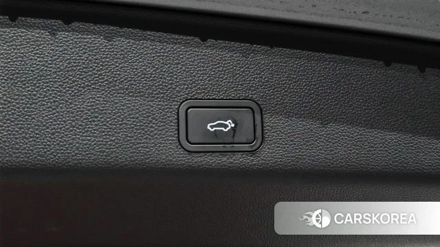 Renault Korea (Samsung) Grand Coleos id 5032664 из Кореи 30