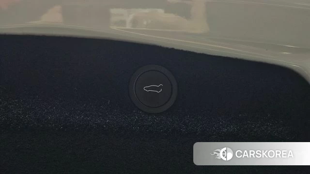 Tesla Model 3 id 5039268 из Кореи 30