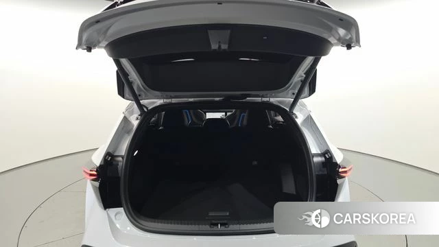 Renault Korea (Samsung) Filant id 5025892 из Кореи 30