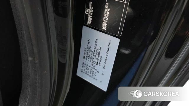 Mini Cooper S Convertible id 4965385 из Кореи 31