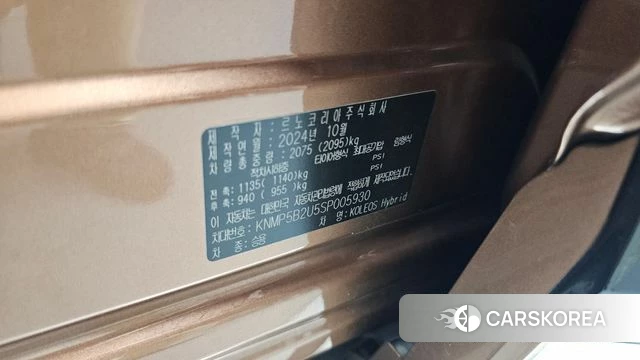 Renault Korea (Samsung) Grand Coleos id 4916480 из Кореи 31