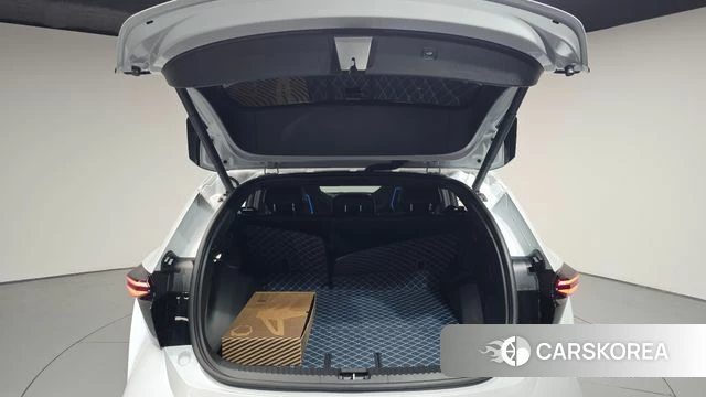 Renault Korea (Samsung) Filant id 4964204 из Кореи 31