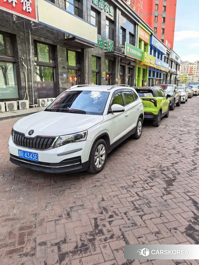 Skoda Kamiq 2024 Белый из Китая, фото 6