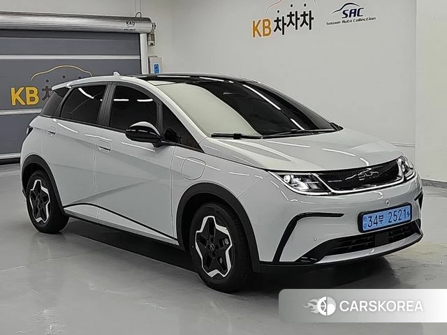 BYD Dolphin id 5001345 из Кореи 12