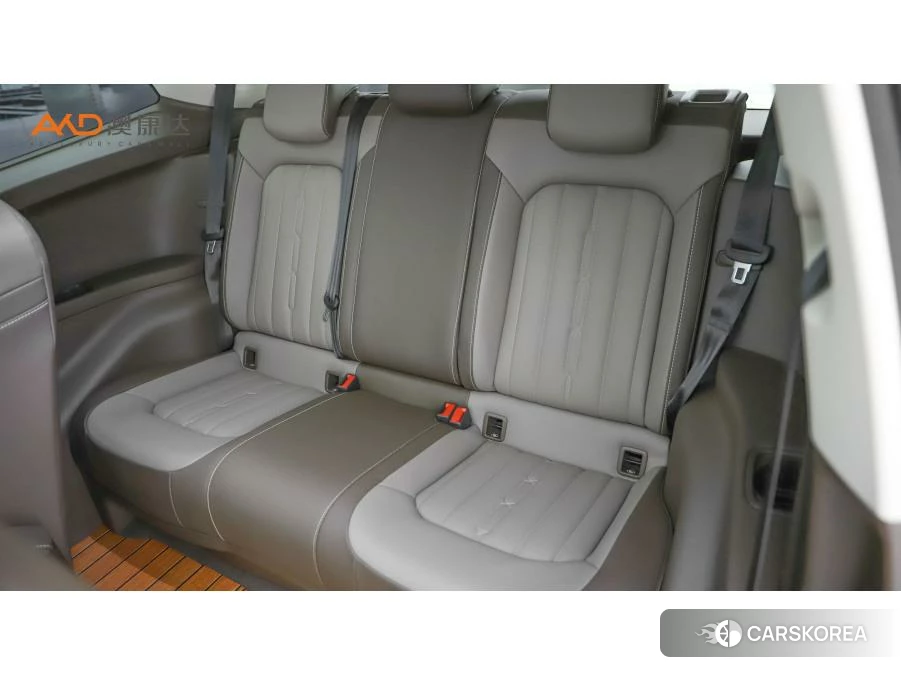 Volkswagen Viloran 2023 Черный из Китая, фото 5